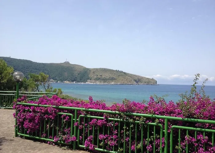 Hotel vicino al College: Casa Palinuro Vacanze fronte spiaggia